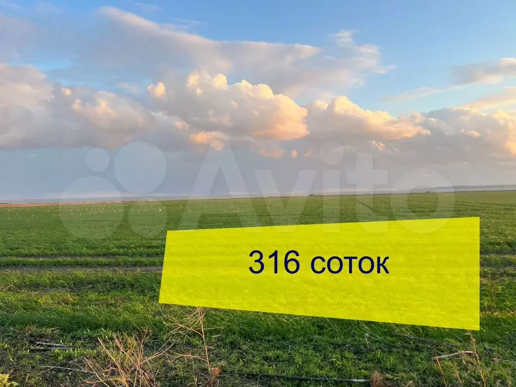 Участок 3,16 га (ИЖС) - Фото 0