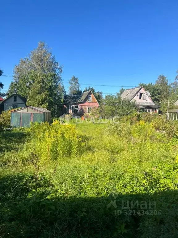 Участок в Санкт-Петербург пос. Парголово, Климовец СНТ, ул. Северная, ... - Фото 0
