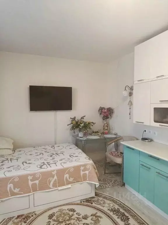 Студия Омская область, Омск ул. Мишина, 2 (26.5 м) - Фото 2