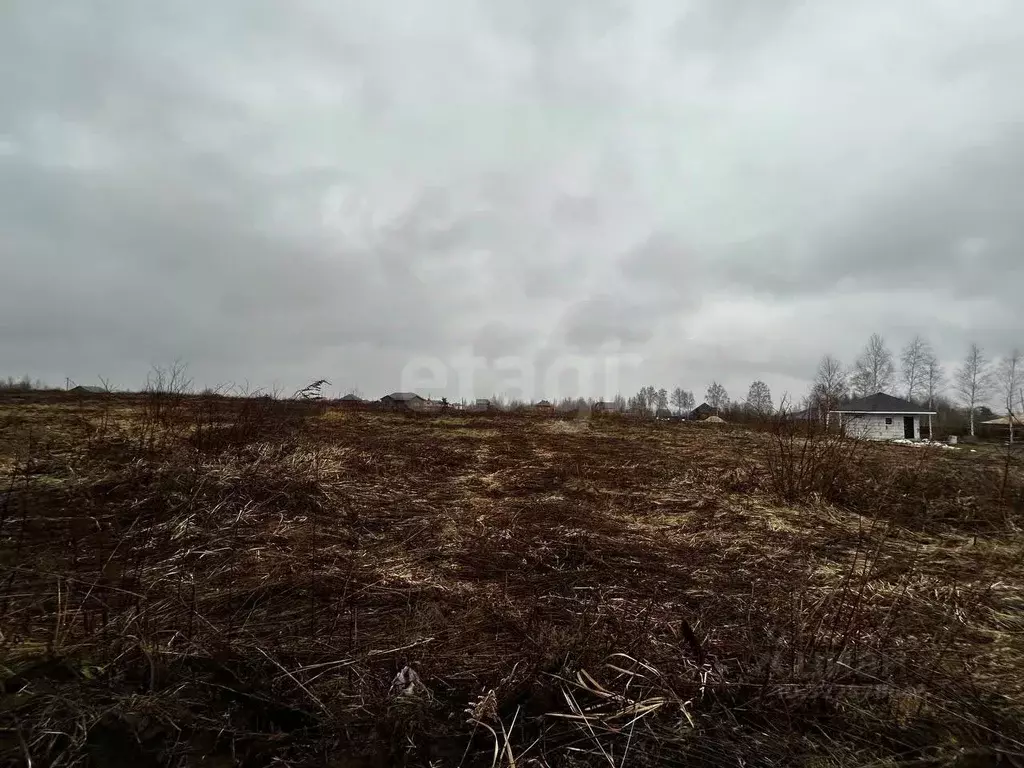 Участок в Брянская область, Брянский район, Отрадненское с/пос, с. ... - Фото 1