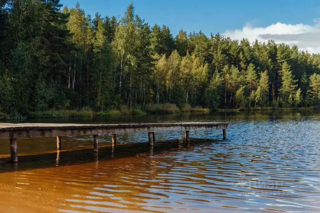 Участок в Ленинградская область, Всеволожский район, Колтушское ... - Фото 0