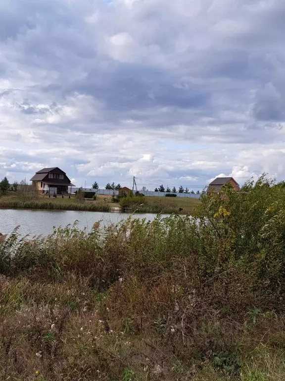 Участок в Воронежская область, Новоусманский район, Тимирязевское ... - Фото 1