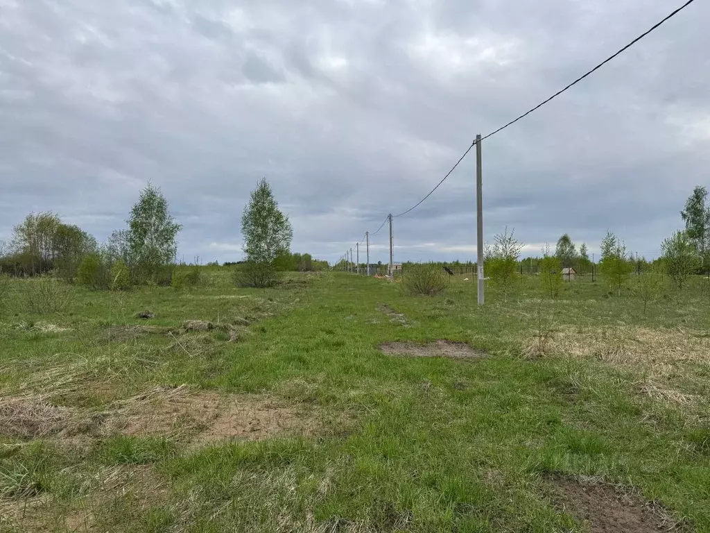 Участок в Московская область, Клин городской округ, д. Плюсково, ... - Фото 2