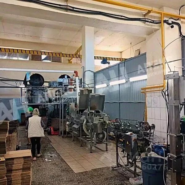 Производственное помещение в Московская область, Ликино-Дулево ... - Фото 1