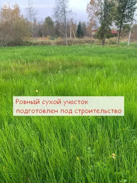 Участок в Опольевское сельское поселение, садоводческий массив ... - Фото 0