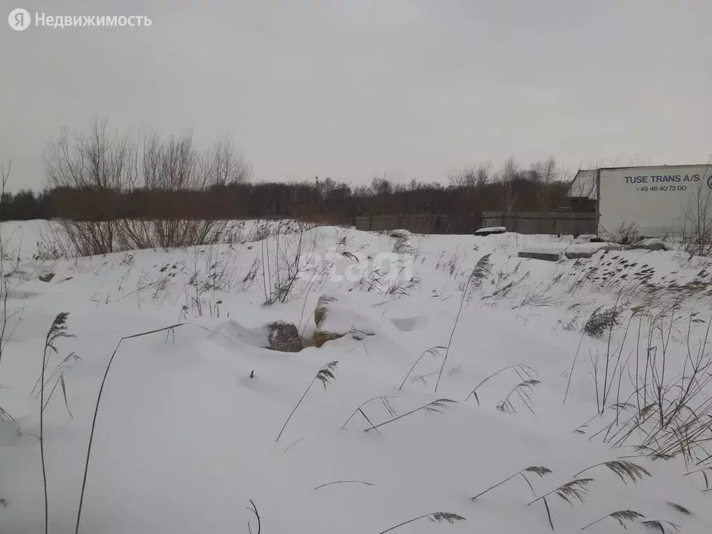 Участок в Новосибирск, садовое товарищество Берёзка, ягодинская улица .,  Купить земельный участок в Новосибирске, ID объекта - 20007152234