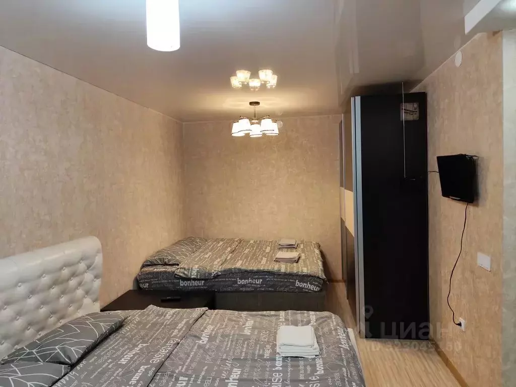 Студия Вологодская область, Вологда ул. Щетинина, 7 (35.0 м) - Фото 2