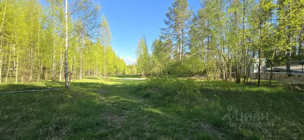 Участок в Ленинградская область, Всеволожский район, Колтушское ... - Фото 0