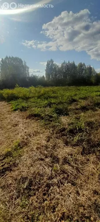 Участок в муниципальное образование Киров, деревня Бони, Балтийский ... - Фото 1