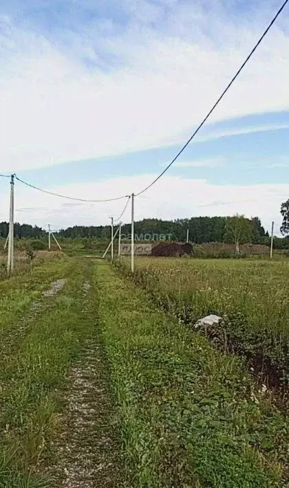 Участок в Тюменская область, Тюменский муниципальный округ, с. ... - Фото 2