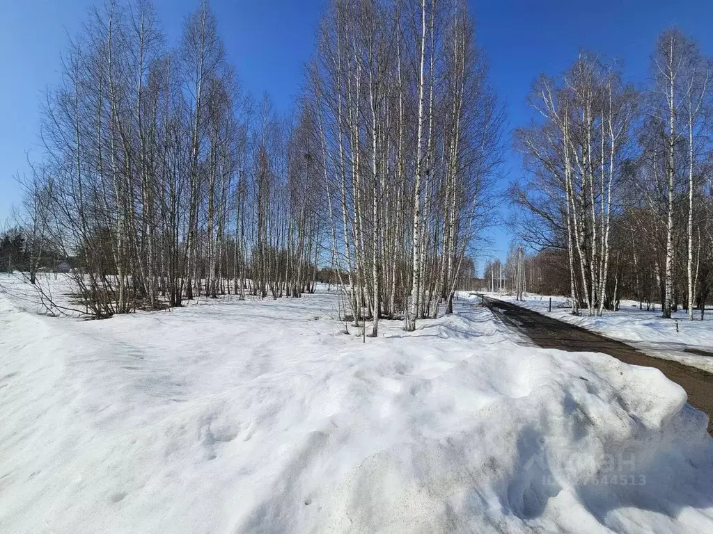 Участок в Московская область, Волоколамский муниципальный округ, д. ... - Фото 1