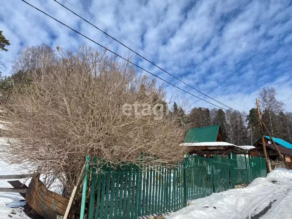 Участок в Алтай, Турочакский район, с. Артыбаш Кедровая ул. (10.0 ... - Фото 1