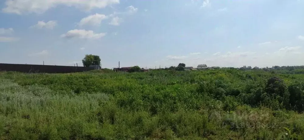 Участок в Оренбургская область, Оренбург городской округ, пос. ... - Фото 1