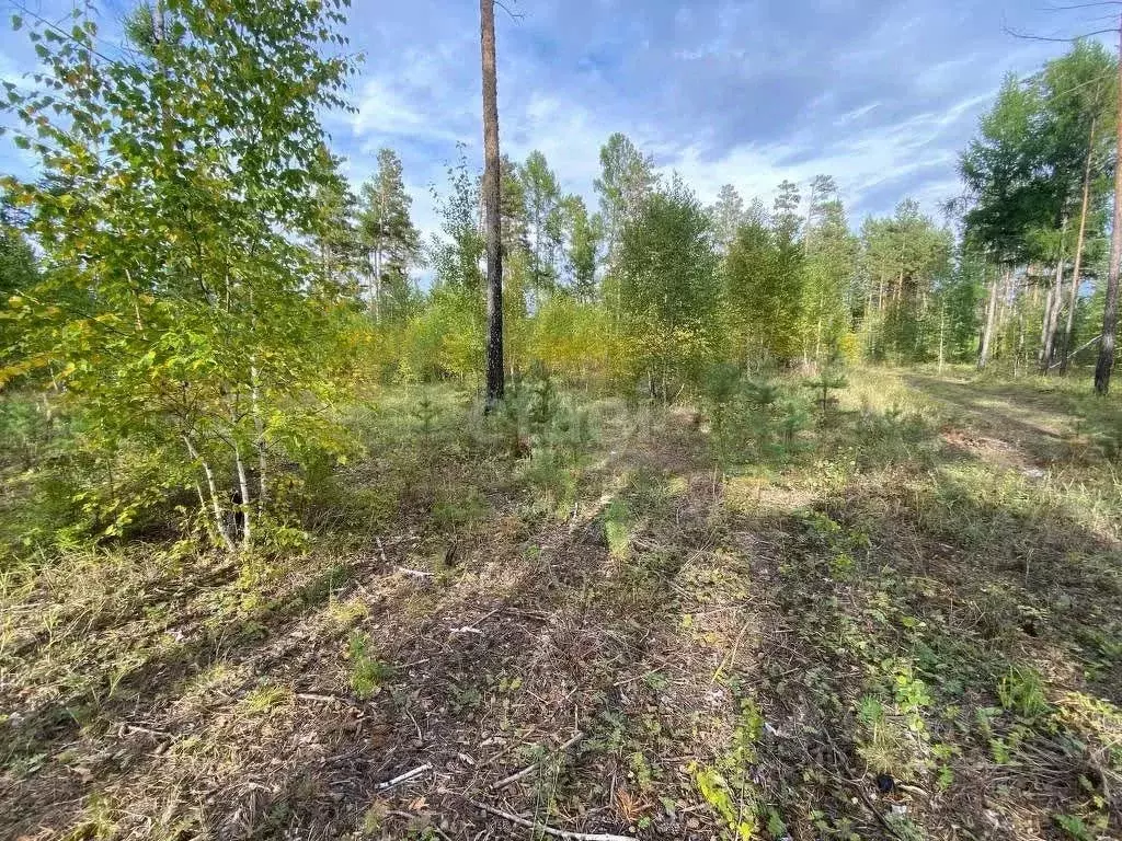 Участок в Забайкальский край, Читинский район, с. Смоленка  (6.4 сот.) - Фото 0