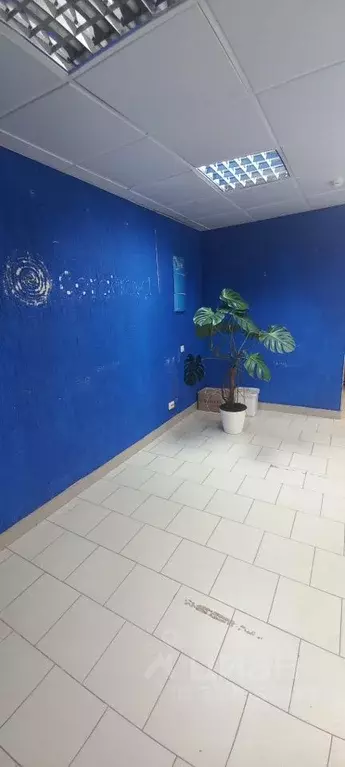 Помещение свободного назначения в Московская область, Солнечногорск ... - Фото 1