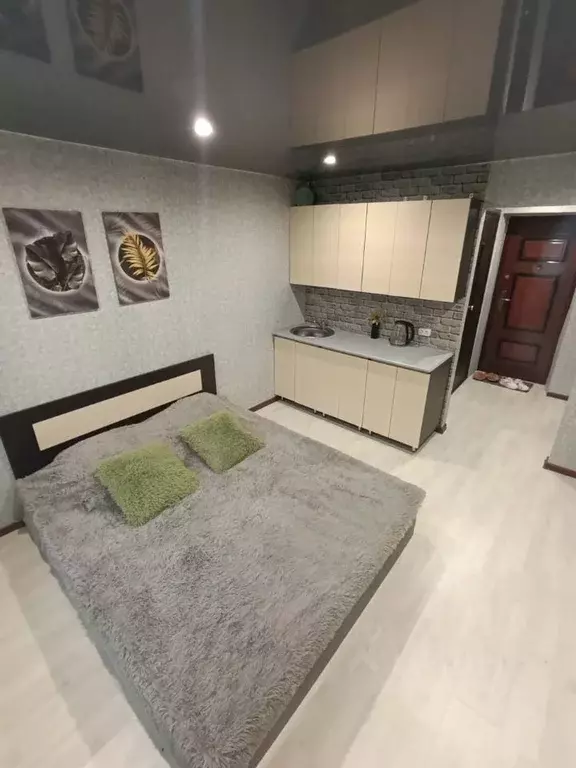 Студия Пензенская область, Пенза просп. Победы, 86 (19.0 м) - Фото 2