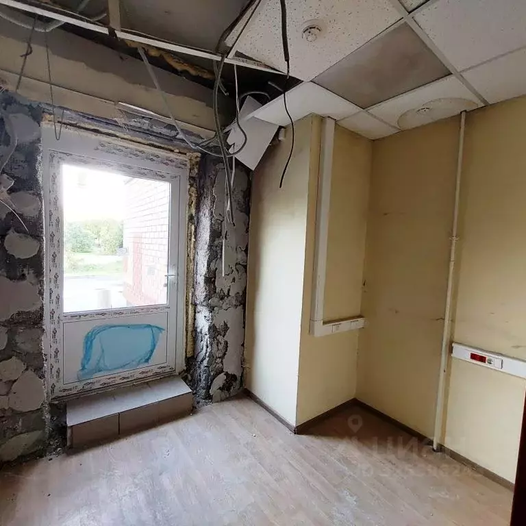 Помещение свободного назначения в Москва, Москва, Зеленоград к2019 (45 ... - Фото 1