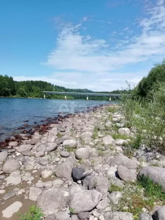 Участок в Алтай, Турочакский район, с. Верх-Бийск Береговая ул. (20.0 ... - Фото 0