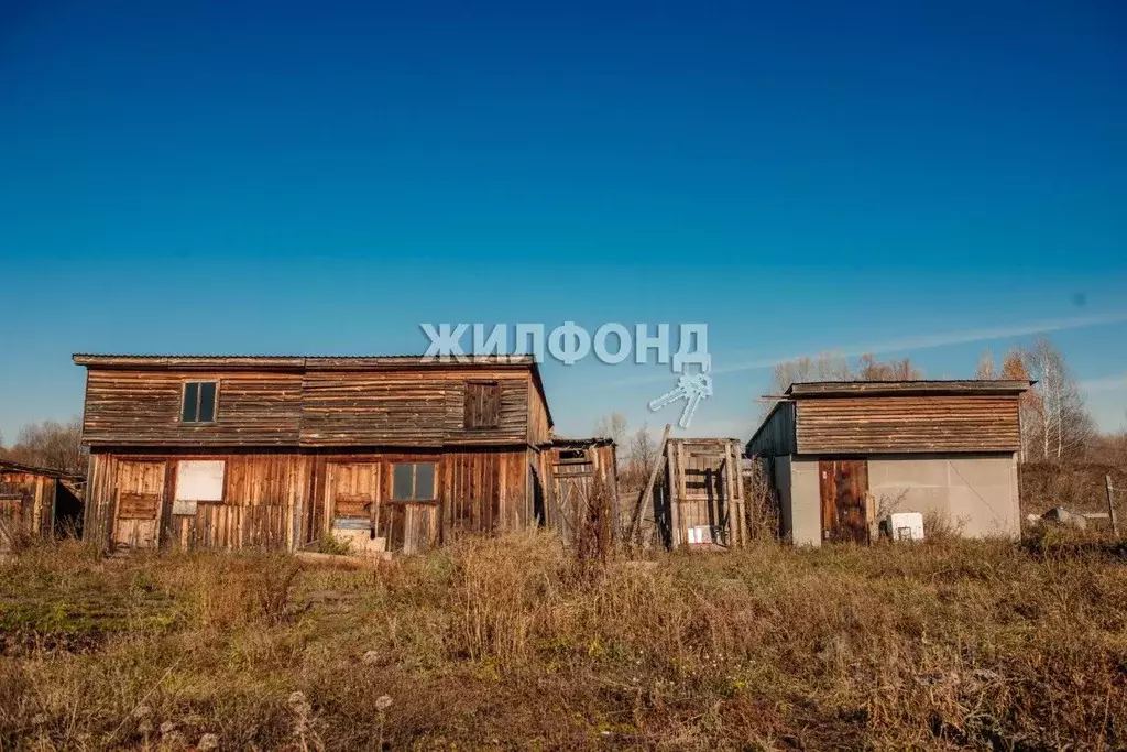 Дом в Алтайский край, Смоленский район, с. Катунское ул. Мальцева (93 ... - Фото 1