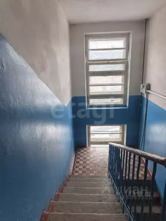 3-к кв. Брянская область, Брянск Белые Берега пгт, Новая ул., 1 (42.0 ... - Фото 1