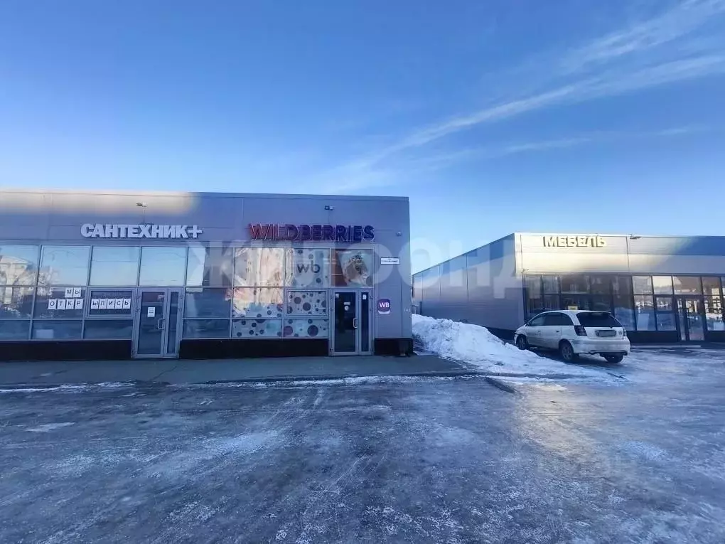 Помещение свободного назначения в Новосибирская область, Новосибирск ... - Фото 1