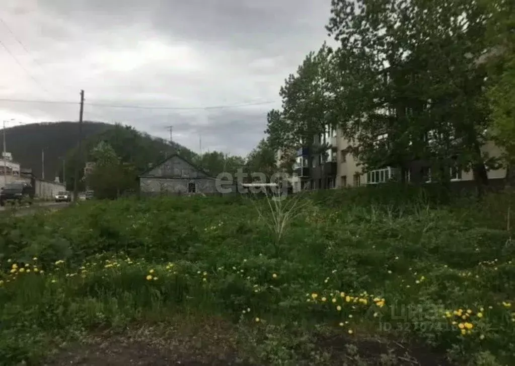 Участок в Камчатский край, Елизово Авачинский пер. (7.38 сот.) - Фото 1