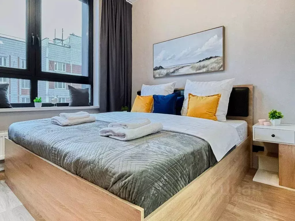 Студия Москва Шереметьевская ул., 21 (27.0 м) - Фото 2