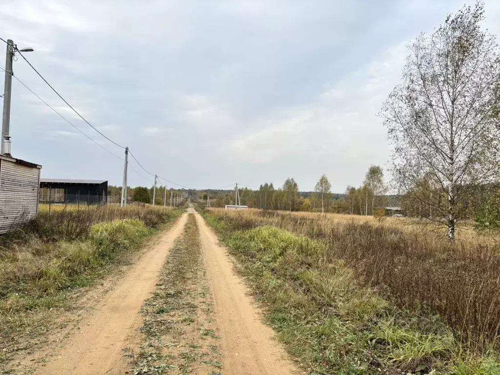 Участок в Владимирская область, Александровский район, Каринское ... - Фото 0