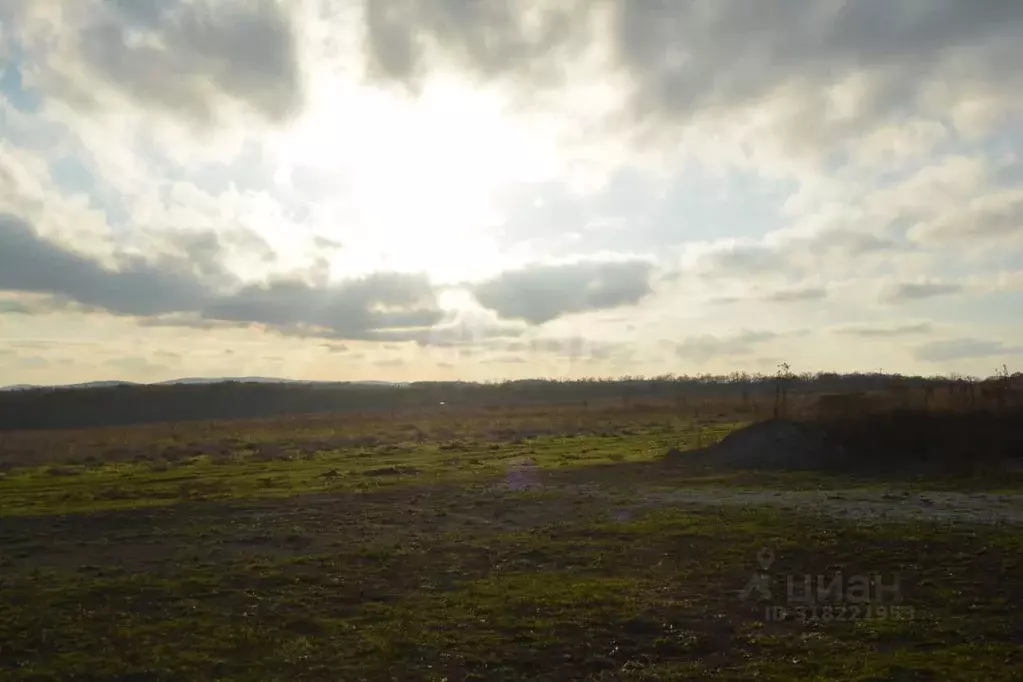 Участок в Краснодарский край, Новороссийск городской округ, ... - Фото 1