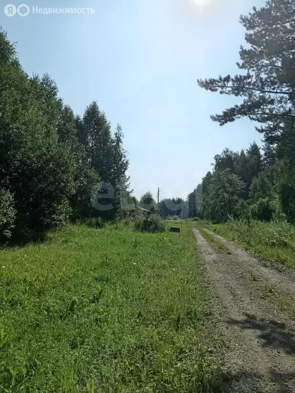 Участок в Сенгилеевский район, Тушнинское сельское поселение, село ... - Фото 1