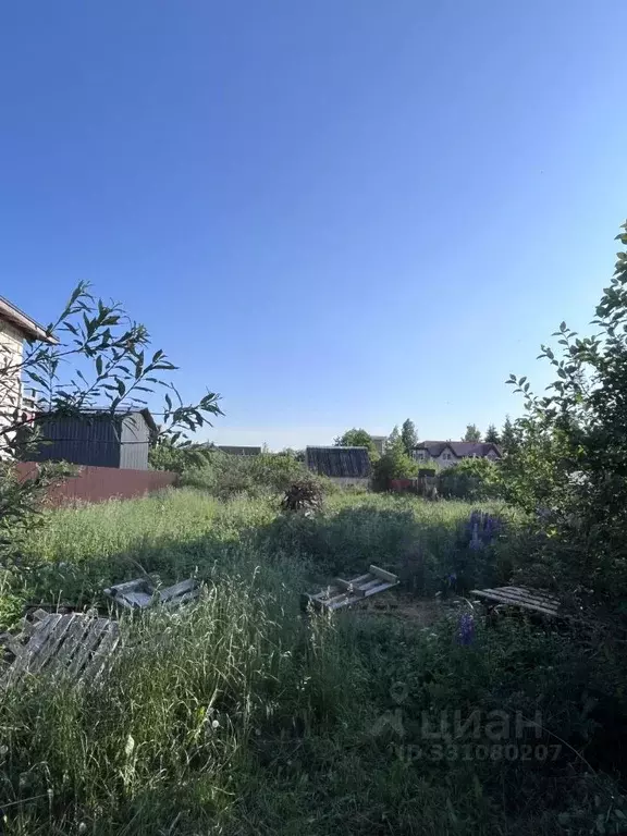 Участок в Санкт-Петербург, Санкт-Петербург, Пушкин Рехколово СНТ, ул. ... - Фото 2
