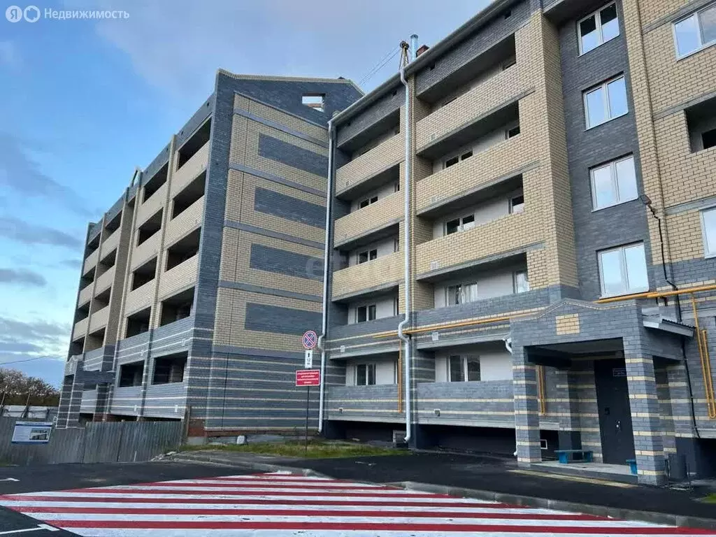 1-комнатная квартира: село Шойбулак, улица Мира, 5А (28.9 м) - Фото 2