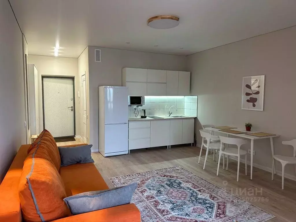 Студия Воронежская область, Воронеж ул. Любы Шевцовой, 31 (30.4 м) - Фото 1