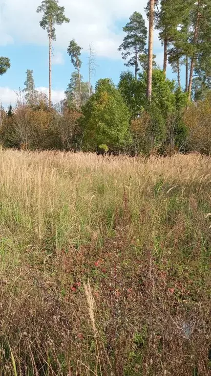 Участок в Московская область, Одинцовский городской округ, пос. ... - Фото 0