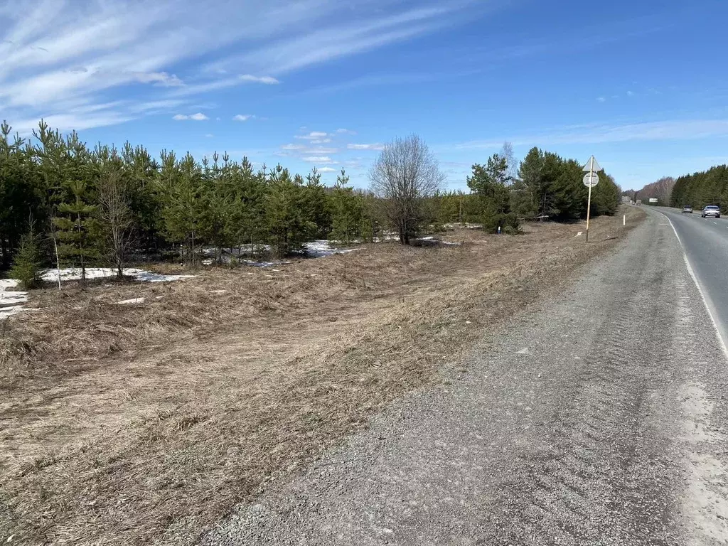 Участок в Пермский край, Частинский муниципальный округ, д. Шабуры  ... - Фото 2