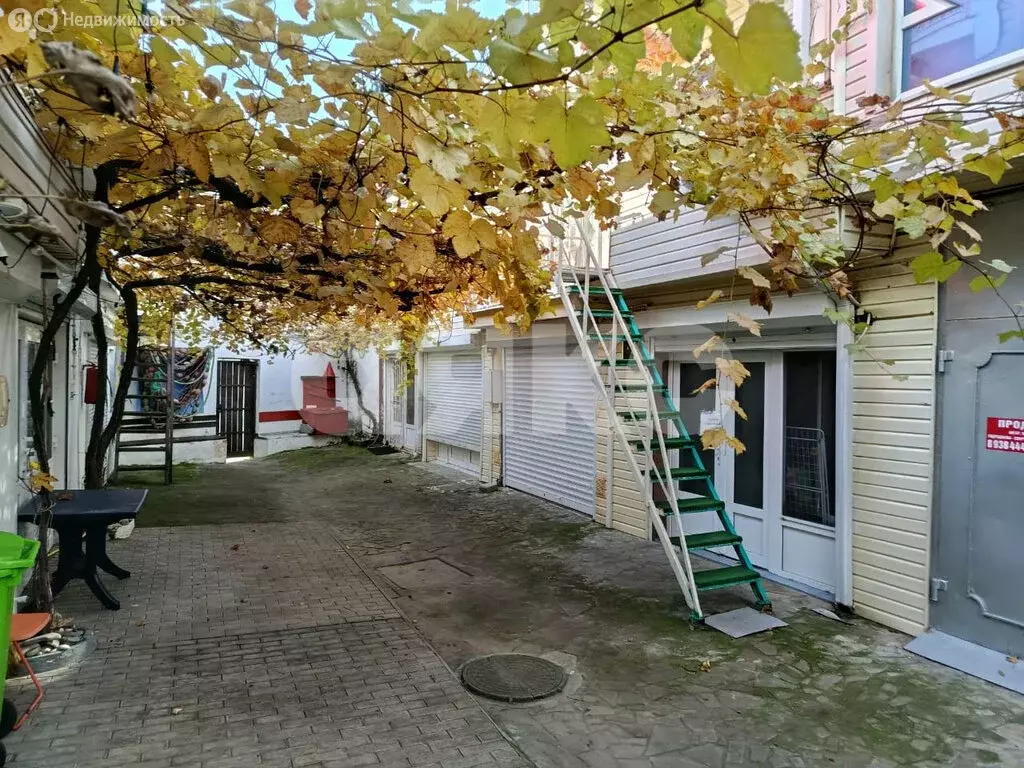 Дом в Краснодарский край, городской округ Геленджик, село Дивноморское ... - Фото 1