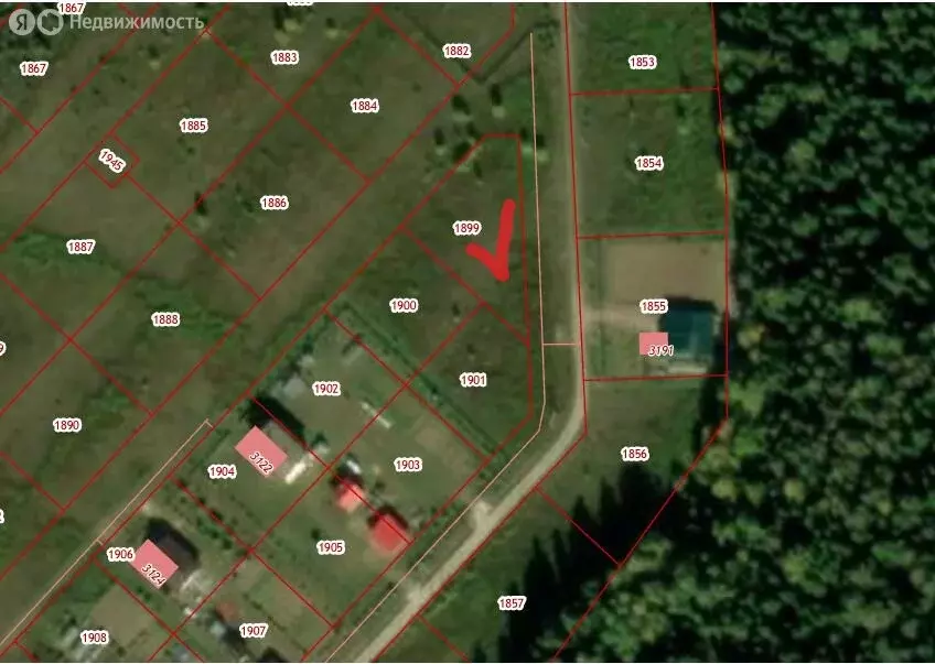 Участок в Кировская область, Слободской муниципальный район, Ленинское ... - Фото 2