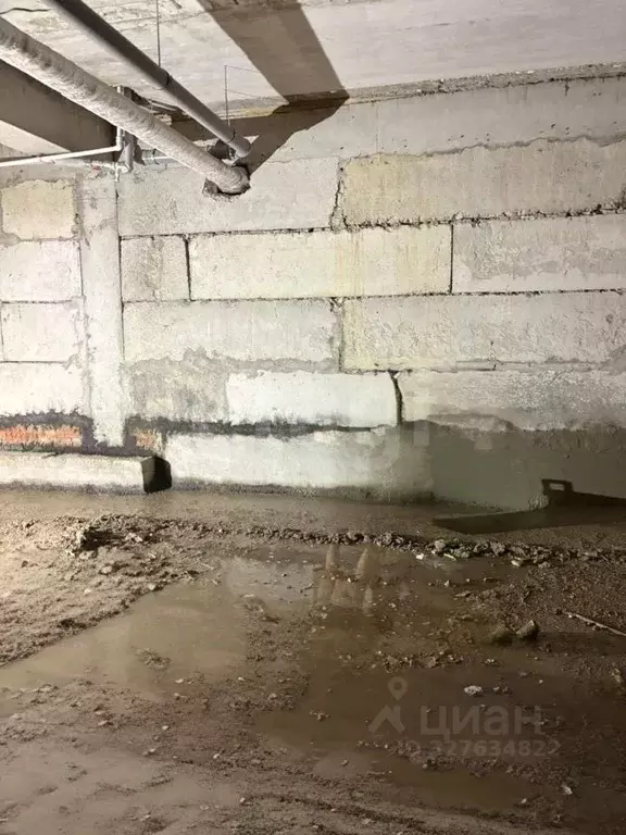 Помещение свободного назначения в Ставропольский край, Ставрополь ул. ... - Фото 1