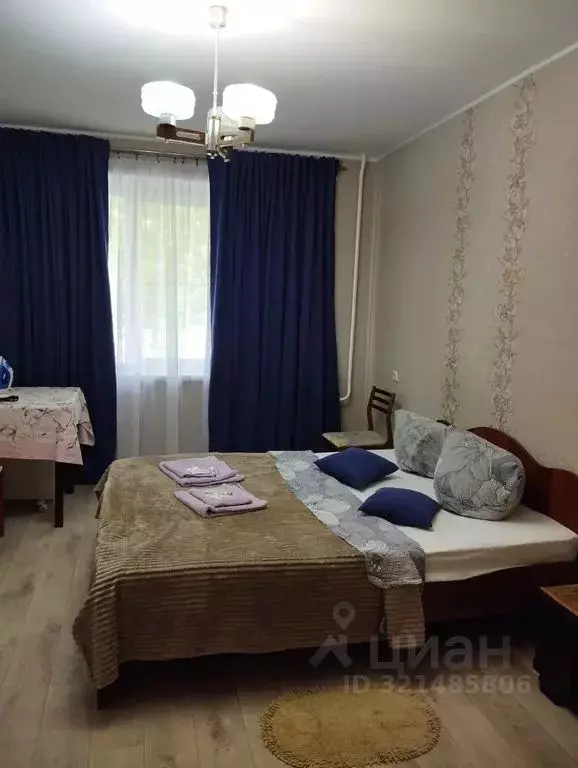 1-к кв. Челябинская область, Челябинск ул. Энтузиастов, 25Б (33.0 м) - Фото 1