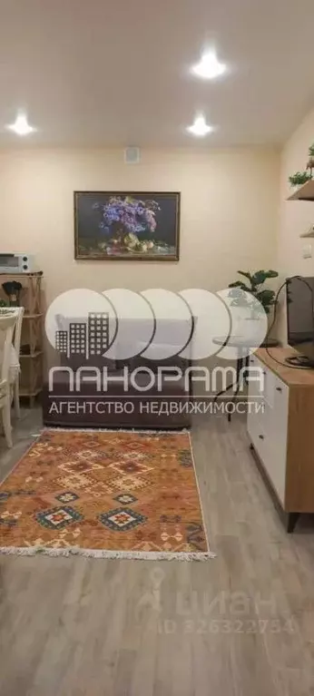 Студия Краснодарский край, Анапа ул. Ленина, 180Ак12 (17.2 м) - Фото 2