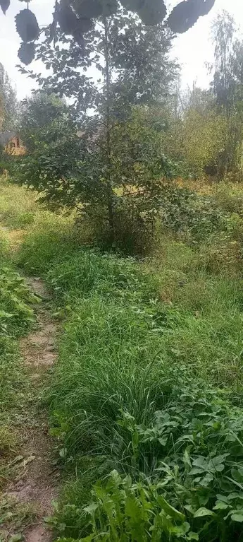 Участок в Санкт-Петербург Деревня Новая тер.,  (7.0 сот.) - Фото 1