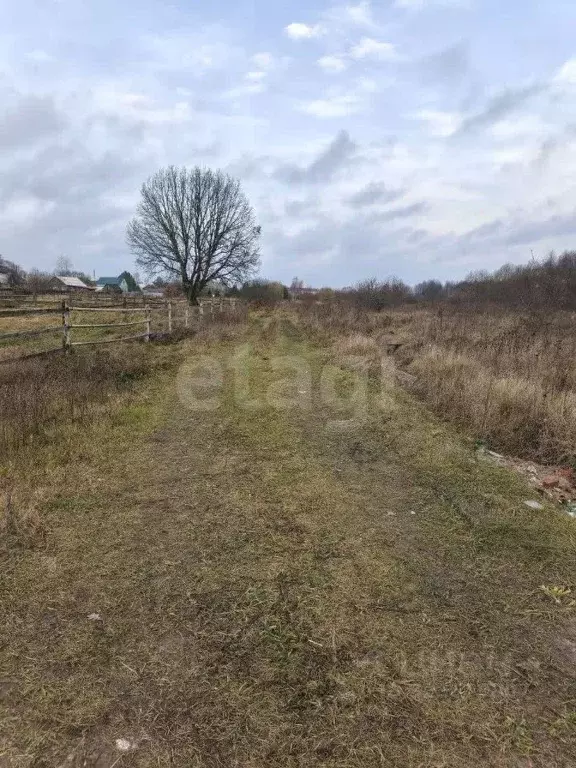 Участок в Брянская область, Брянский район, с. Журиничи  (20.0 сот.) - Фото 1