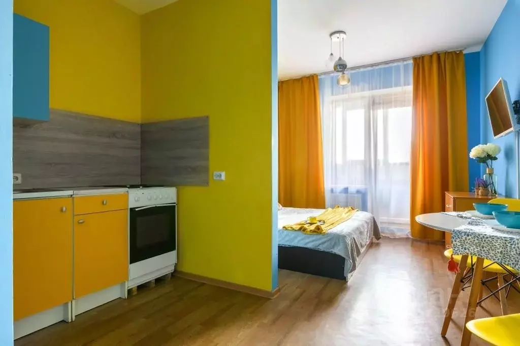 1-к кв. Санкт-Петербург Коломяжский просп., 15к2 (30.0 м) - Фото 2