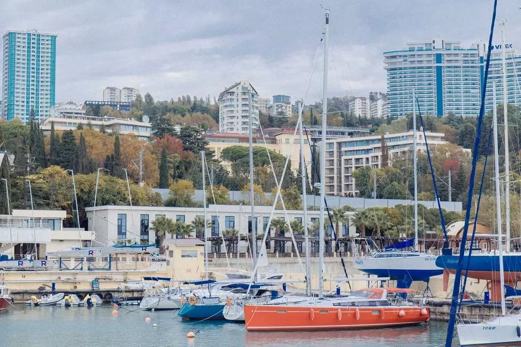 1-к кв. Краснодарский край, Сочи ул. Бзугу, 10 (40.0 м) - Фото 2