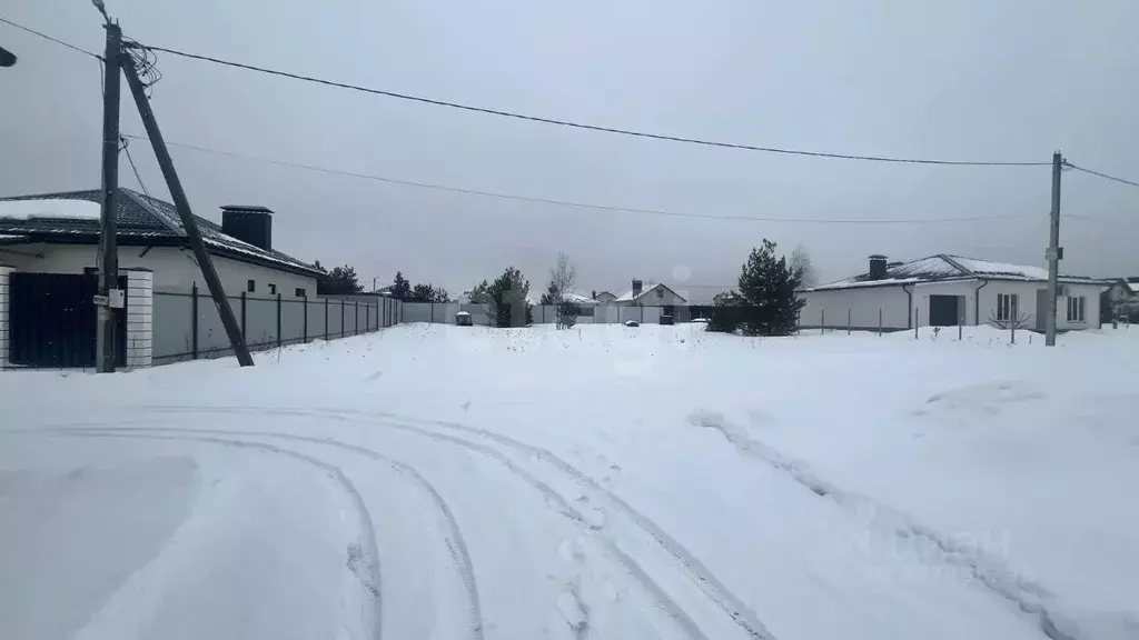 Участок в Воронежская область, Рамонский район, Новоживотинновское ... - Фото 1