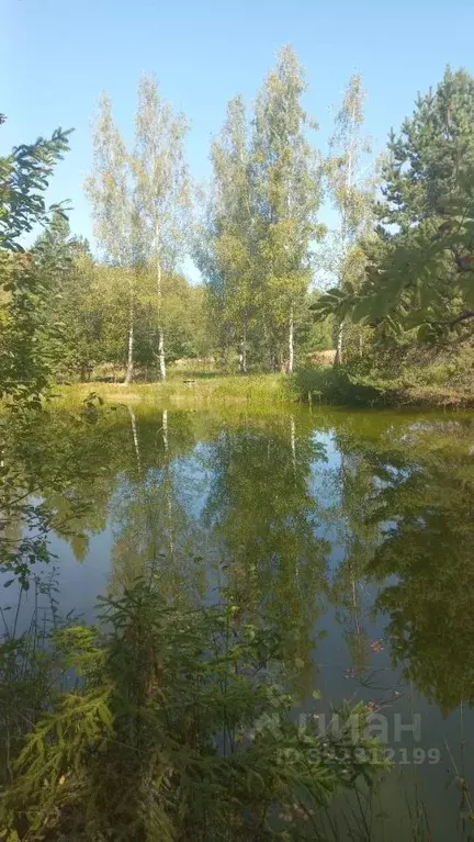 Участок в Калужская область, Думиничский муниципальный округ, Верхнее ... - Фото 2