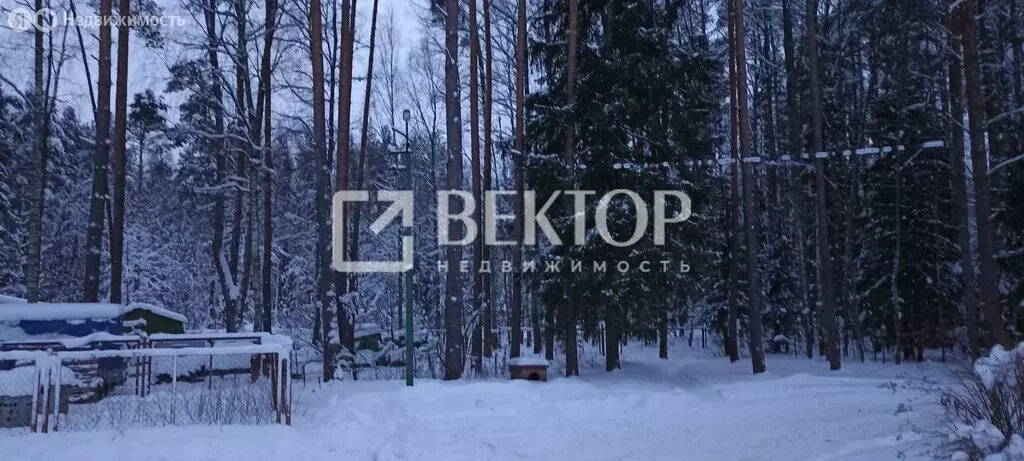 1-комнатная квартира: село Туношна, улица Туношенский пансионат, 2 (30 ... - Фото 2