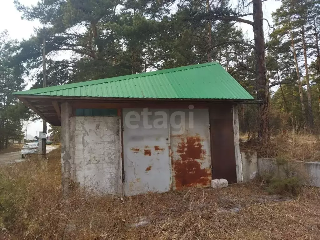 Участок в Красноярский край, Минусинский муниципальный округ, ДМ ... - Фото 2