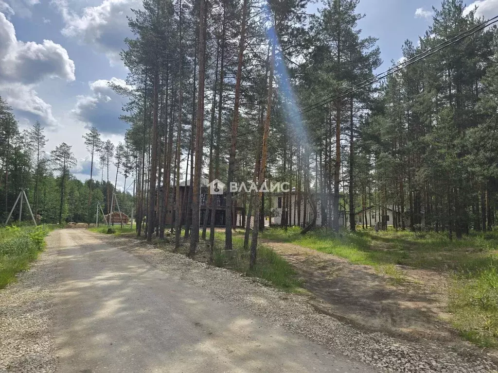 Участок в Владимирская область, Судогодский муниципальный округ, д. ... - Фото 1