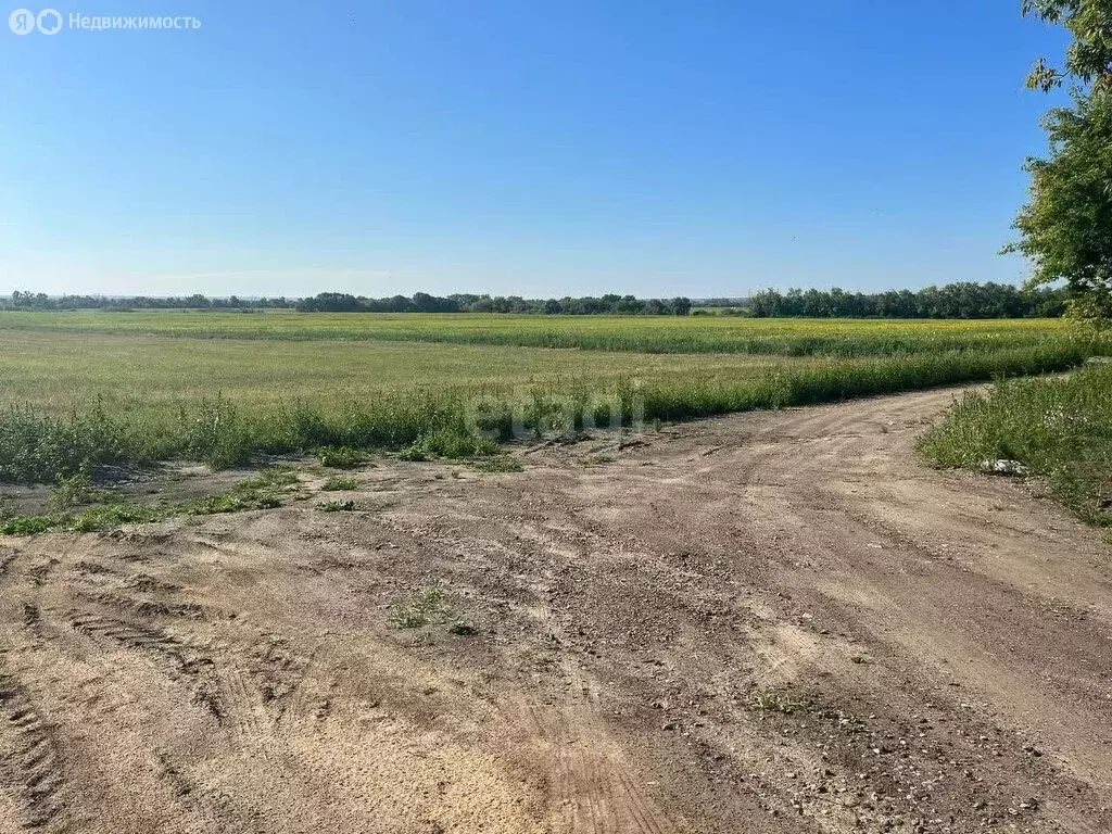 Участок в Хохольский район, село Новогремяченское (8 м) - Фото 1